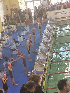 Campionats d´Hivern de Natació !!!!! Campionats d´Hivern de Natació !!!!!
