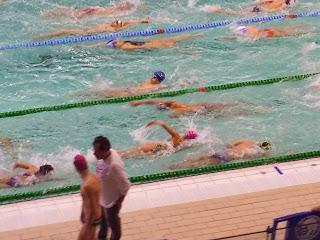 Campionats d´Hivern de Natació !!!!! Campionats d´Hivern de Natació !!!!!