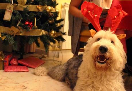 Nochebuena Nochebuena