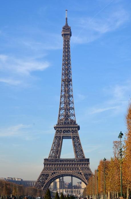red, stripes and leopard red, stripes and leopard