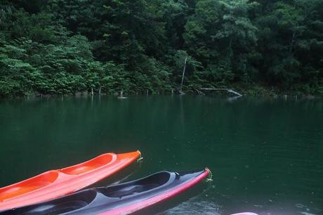 Bañarse en un Cenote en Campeche Bañarse en un Cenote en Campeche