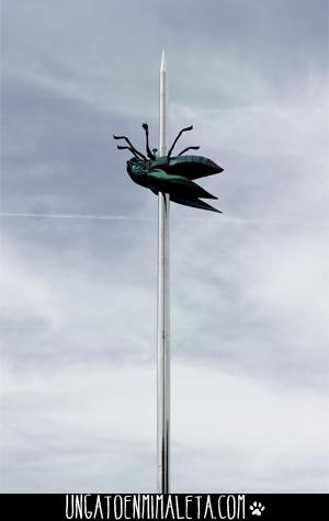 Que ver en Lovaina Laudeuzeplein