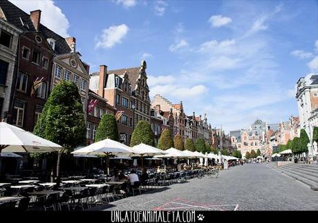 Que ver en Lovaina Oude Mark