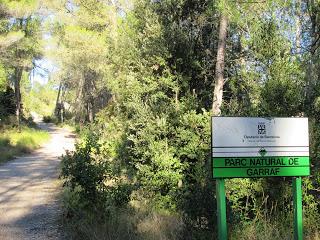 Gavá - Begues - Puig de la Mola - Begues - Gavá Gavá - Begues - Puig de la Mola - Begues - Gavá