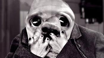 La Academia de Hollywood declara a Sitges como festival competente para presentar los cortos ganadores a los Oscar La Academia de Hollywood declara a Sitges como festival competente para presentar los cortos ganadores a los Oscar