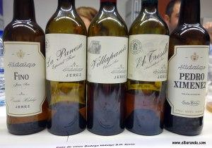 Cata con Juan Manuel Hidalgo, todo un lujo. Los vinos-1