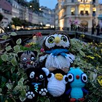 2013, un año de viajes gato karlovy vary