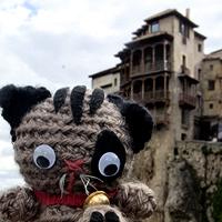 2013, un año de viajes gato cuenca