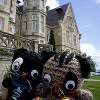 2013, un año de viajes gato santander