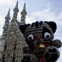 2013, un año de viajes gato lovaina