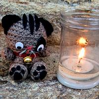 2013, un año de viajes gato pedraza