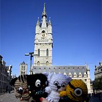 2013, un año de viajes gato gante