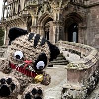 2013, un año de viajes gato comillas