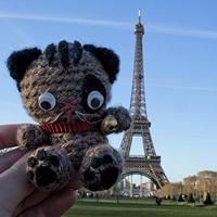 2013, un año de viajes gato paris