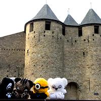2013, un año de viajes gato carcassonne