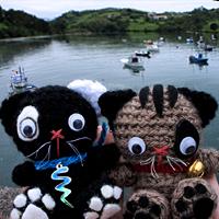 2013, un año de viajes gato san vicente barquera