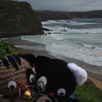 2013, un año de viajes gato suances