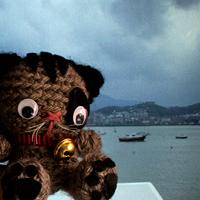 2013, un año de viajes gato getxo