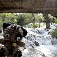 2013, un año de viajes gato monasterio piedra
