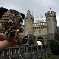 2013, un año de viajes gato amberes