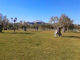 Dos momentos inolvidables de Cádiz #Recuerdosdel2013 Dos momentos inolvidables de Cádiz #Recuerdosdel2013