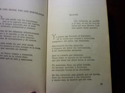 Viejos (III) Viejos (III)