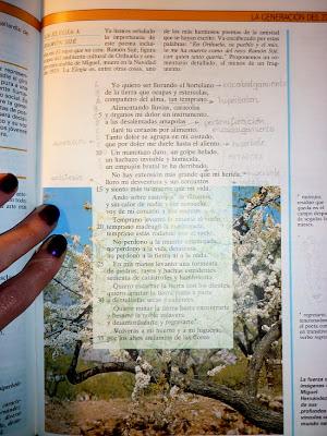 Viejos (III) Viejos (III)