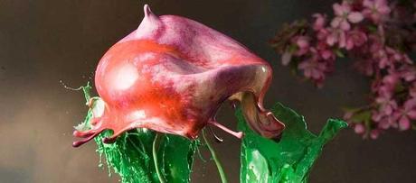 flor, escultura líquida flor, escultura líquida