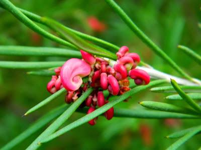 ¡Terminamos 2013 rodeadas de flores! ¡Terminamos 2013 rodeadas de flores!