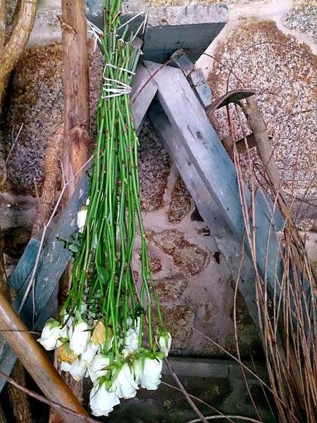 ¡Terminamos 2013 rodeadas de flores! ¡Terminamos 2013 rodeadas de flores!