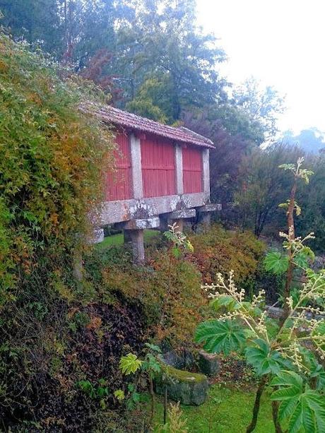 ¡Terminamos 2013 rodeadas de flores! ¡Terminamos 2013 rodeadas de flores!