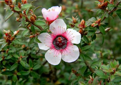 ¡Terminamos 2013 rodeadas de flores! ¡Terminamos 2013 rodeadas de flores!