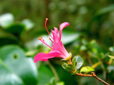 ¡Terminamos 2013 rodeadas de flores! ¡Terminamos 2013 rodeadas de flores!