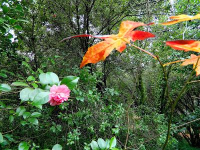 ¡Terminamos 2013 rodeadas de flores! ¡Terminamos 2013 rodeadas de flores!