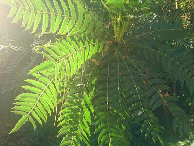 ¡Terminamos 2013 rodeadas de flores! ¡Terminamos 2013 rodeadas de flores!