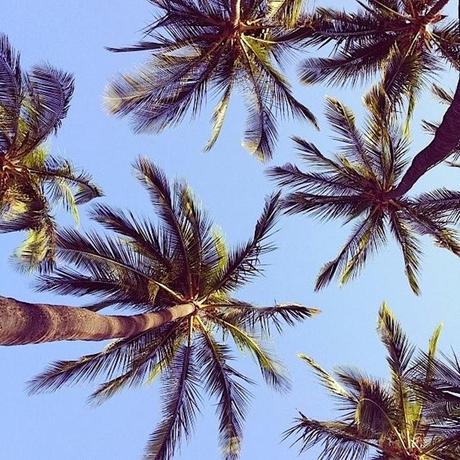 » INSPIRATION OF THE MONTH #4: JANUARY » INSPIRATION OF THE MONTH #4: JANUARY