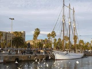 The Three Wise Men Say Good-bye to their Camels! The Three Wise Men Say Good-bye to their Camels!