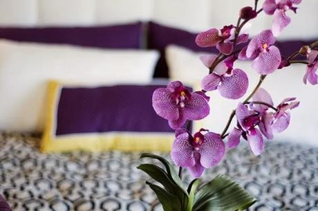 Decoration_Inspiratio_radiant_orchid