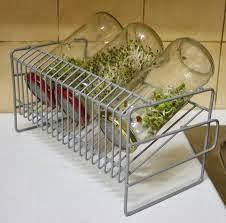 Haz tus propios brotes caseros Haz tus propios brotes caseros