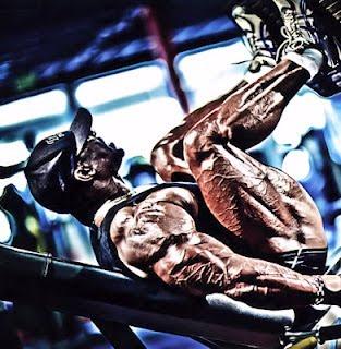 DOCUMENTALES Y REPORTAJES SOBRE FITNESS Y CULTURISMO DOCUMENTALES Y REPORTAJES SOBRE FITNESS Y CULTURISMO