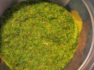 Campo de Batalla: Materiales podemos utilizar en nuestras peanas Campo de Batalla: Materiales podemos utilizar en nuestras peanas