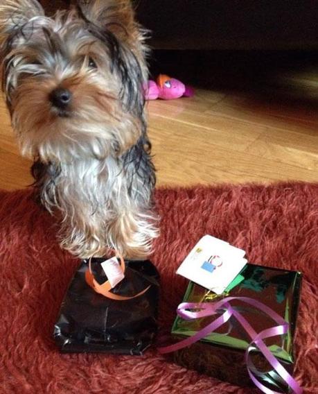 Especial Navidad cosmetik, ¡te queda muy poquito! wolf y sus regalos