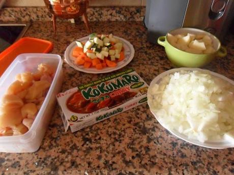 Curry japones Curry japones