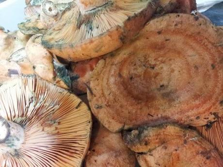 Niscalos con Alioli Niscalos con Alioli