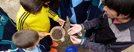 Retrospectiva: El 2013 en posts 10843511746_fd70749a96_c_654