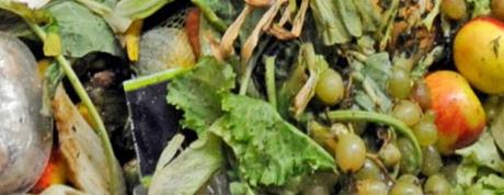 Retrospectiva: El 2013 en posts Despilfarro en la cadena alimentaria