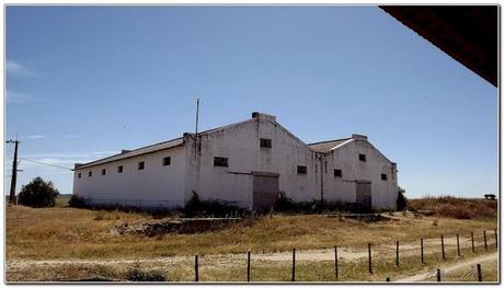 Estación de Arraiolos (Portugal)