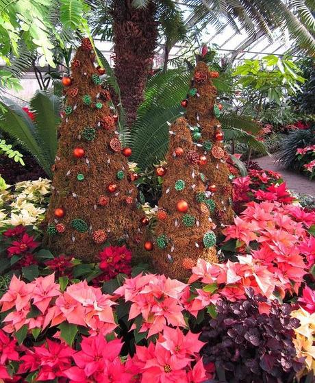 En el Allan Gardens Conservatory II, Toronto