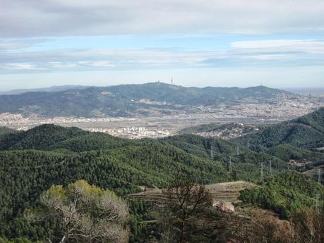 Gavá - Begues - Puig Vicenç (Vallirana) - Sant Climent - Gavá 05/01/2014