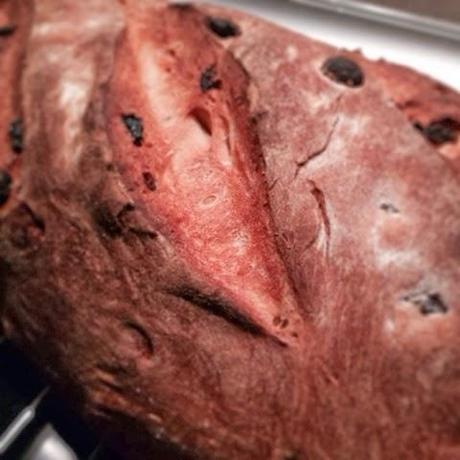 Masa Madre Masa Madre